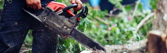 Gehölzentfernung und Zerkleinerung