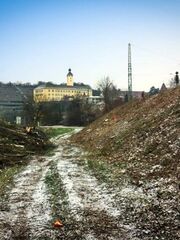 von Gehölz befreite Bahnböschung