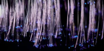 Gruppe von Glasfaserkabeln