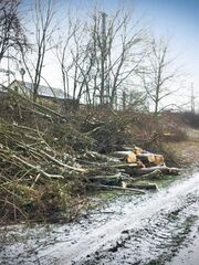 Beschnittarbeiten an einem Bahndamm