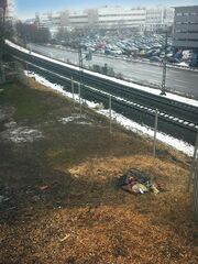 von Gehölz befreite Bahnböschung